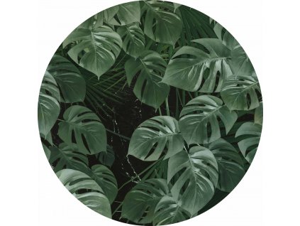 Kulatá samolepicí vliesová fototapeta KOMAR DOTs D1-023 Novel Monstera, velikost ø 125 cm