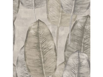 Strukturovaná vliesová tapeta, hnědé šedé listy TA25080 Tahiti, Decoprint, velikost 0,53 x 10,05 m