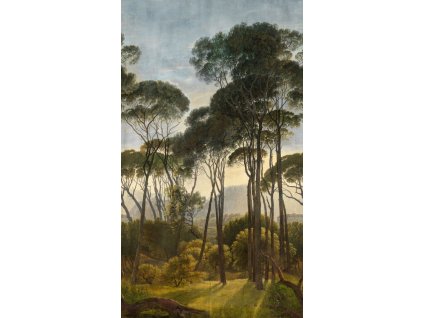 Vliesová obrazová tapeta na zeď Stromy, příroda A46301, 159 x 280 cm, One roll, Grandeco