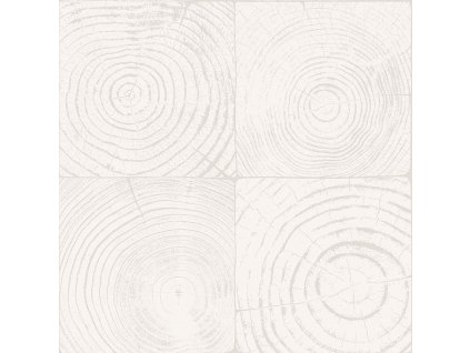 Šedobílá vliesová tapeta, imitace dřeva s letokruhy 347546, Matières - Wood, Origin, velikost 0,53 x 10,05 m