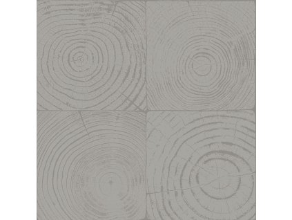 Vliesová tapeta na zeď šedá, imitace dřeva s letokruhy 347548, Matières - Wood, Origin, velikost 0,53 x 10,05 m