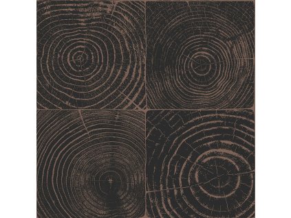 Černo-hnědá vliesová tapeta, imitace dřeva s letokruhy 347550, Matières - Wood, Origin, velikost 0,53 x 10,05 m