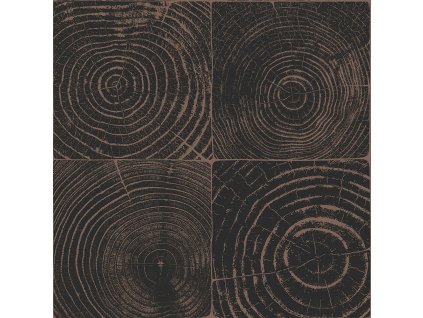 Černo-hnědá vliesová tapeta, imitace dřeva s letokruhy 347550, Matières - Wood, Origin, velikost 0,53 x 10,05 m