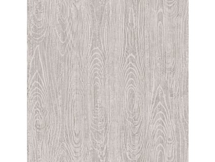 Metalická stříbrná /šedobéžová vliesová tapeta na zeď, imitace dřeva 347555, Matières - Wood, Origin, velikost 0,53 x 10,05 m