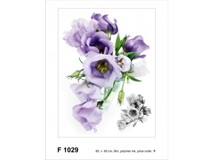 Samolepka / samolepící dekorace na zeď F 1029, Květiny, AG Design, velikost 65 x 85 cm