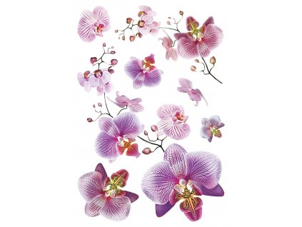 Samolepka / samolepící dekorace na zeď SM 3440, Orchidej, AG Design, velikost 42,5 x 65 cm