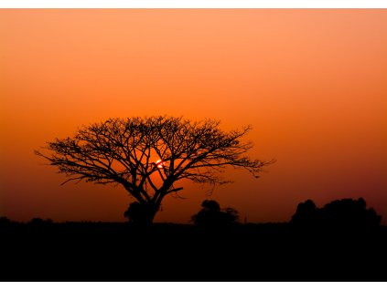 Vliesová fototapeta na zeď Rasch západ slunce 363647, African Queen III, velikost 4,24 x 3 m