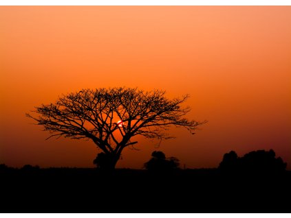 Vliesová fototapeta na zeď Rasch západ slunce 363654, African Queen III, velikost 3,71 x 2,65 m
