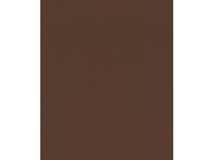 Vliesová tapeta na zeď Rasch 752663, African Queen III, velikost 10,05 x 0,53 m
