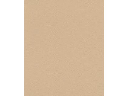 Vliesová tapeta na zeď Rasch 752694, African Queen III, velikost 10,05 x 0,53 m