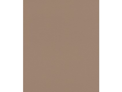 Vliesová tapeta na zeď Rasch 752724, African Queen III, velikost 10,05 x 0,53 m