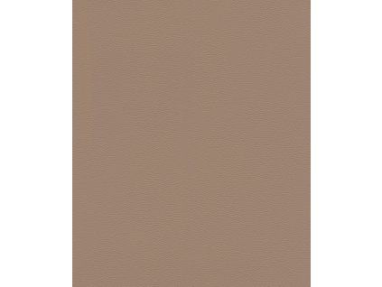 Vliesová tapeta na zeď Rasch 752724, African Queen III, velikost 10,05 x 0,53 m