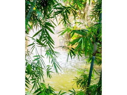 Vliesová fototapeta na zeď Rasch 363364, Magic Walls, velikost 2,12 x 2,65 m