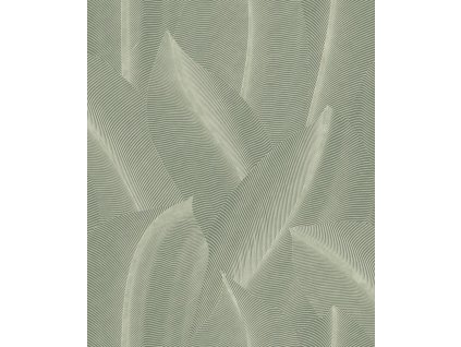 Zelená vliesová tapeta s listy,  AL26221, Allure, Decoprint, velikost 10,05 x 0,53 m