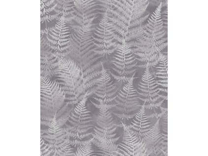 Šedo-stříbrná vliesová tapeta na zeď, listy kapradin, 120368, Wiltshire Meadow, Clarissa Hulse, velikost 10 x 0,52 m