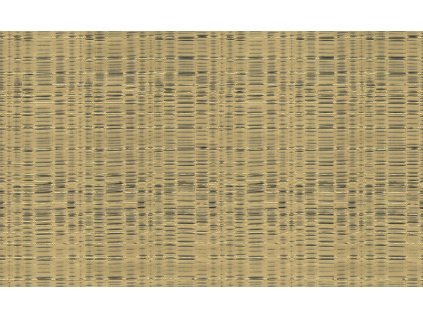 Luxusní zlatá vliesová tapeta, 86034, Valentin Yudashkin 5, Emiliana Parati, velikost 10,05 x 1,06 m