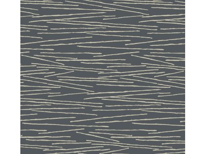 Černá vliesová tapeta na zeď, béžové linie, EV3940, Candice Olson Casual Elegance, York, velikost 0,685 x 8,2 m
