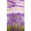 Fototapeta na zeď Provence Levandule A35901, 159 x 280 cm, Organiser, Murals, Grandeco