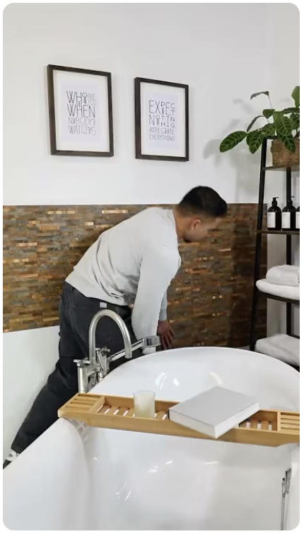premium-bridlice