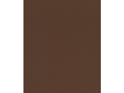 Vliesová tapeta na zeď Rasch 752663, African Queen III, 0,53 x 10,05 m