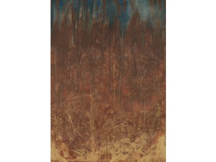 Vliesová fototapeta na zeď Rasch 364156, Magic Walls, 2,12 x 3 m