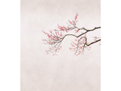 Vliesová fototapeta na zeď Rasch 361087, Magic Walls, 2,65 x 3 m