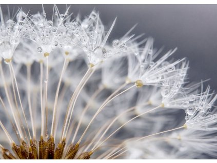 Vliesová fototapeta na zeď Rasch 363333, Magic Walls, 3,71 x 2,65 m