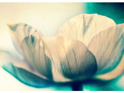 Vliesová fototapeta na zeď Rasch 363340, Magic Walls, 3,71 x 2,65 m