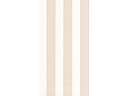 Vliesová tapeta na zeď Caselio 101070103 BASICS, 0,53 x 10,05 m