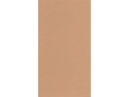 Vliesová tapeta na zeď Caselio 64524344 BASICS, 0,53 x 10,05 m