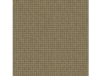 Vliesová tapeta na zeď Caselio 106029014 MATIERES, 0,53 x 10,05 m