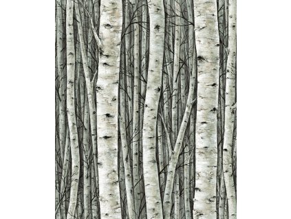 Vliesová tapeta na zeď 35380, Timber, 0,53 x 10,05 m