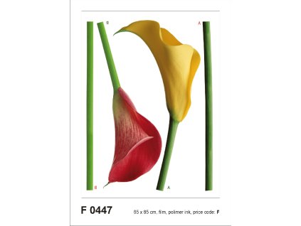 F0447 Samolepicí dekorace KALY 65 x 85 cm