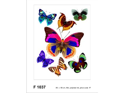 F1037 Samolepicí dekorace BUTTERFLIES 65 x 85 cm