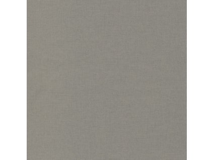 Vliesová tapeta na zeď Caselio 68529627, kolekce LINEN, materiál vlies, styl moderní 0,53 x 10,05 m