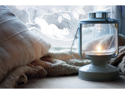 Statická fólie d-c-fix pineview 216-0031, transparent šířka: 45 cm