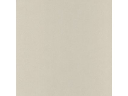 Vliesová tapeta na zeď Caselio 64521010 BASICS, 0,53 x 10,05 m