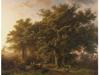 KOL8010 Luxusní fototapeta, Forest, 7dílná