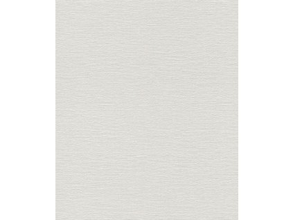 804539 Vliesová tapeta na zeď Rasch, Tapetenwechsel 53 x 1005 cm