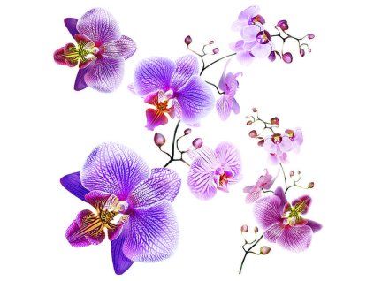 52487 1 ss3859 samolepici dekorace orchidej 30 x 30 cm