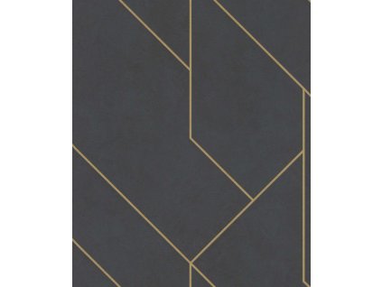 Vliesová tapeta Rasch 427431, kolekce Brick Lane, 0,53 x 10,05 m