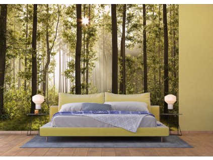 AG Design 4 dílná fototapeta MORNING FOREST FTS 0181, 360 x 254 cm papír