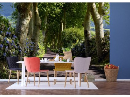 AG Design 4 dílná fototapeta ALLEY FTS 1303, 360 x 254 cm papír