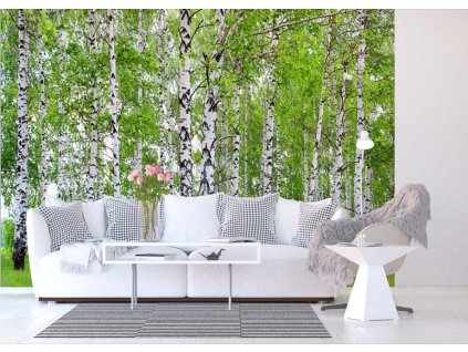 AG Design 4 dílná fototapeta BERRY-BIRCH FTS 1304, 360 x 254 cm papír