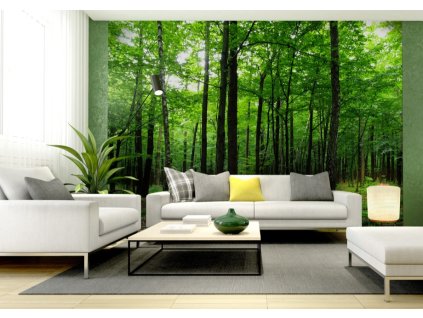 AG Design 4 dílná fototapeta FOREST FTNS 2446, 360 x 270 cm vlies