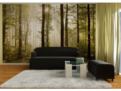 AG Design 4 dílná fototapeta MORNING FOREST FTNS 2447, 360 x 270 cm vlies