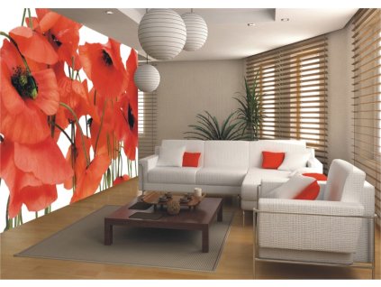 AG Design 4 dílná fototapeta WILD POPPIES FTNS 2461, 360 x 270 cm vlies