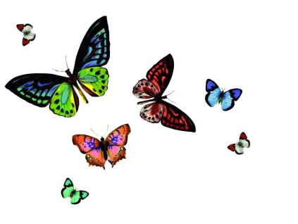 Prostírání průhledné motýlci 230-2102 (12 ks)