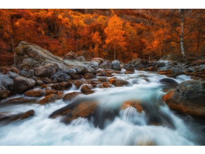 AG design 4 dílná vliesová fototapeta Autumn Rush, 360 x 270 cm
