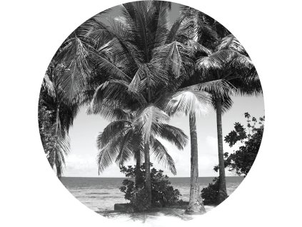 AG Design Samolepicí dekorace Monochromatic Palms 70 cm